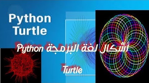 شكل قلب ❤️ مكتب turtle 🐢في لغة البرمجة Python//