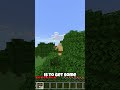 Minecraft But YOU Control My Life Minecraft But YOU Control My Life