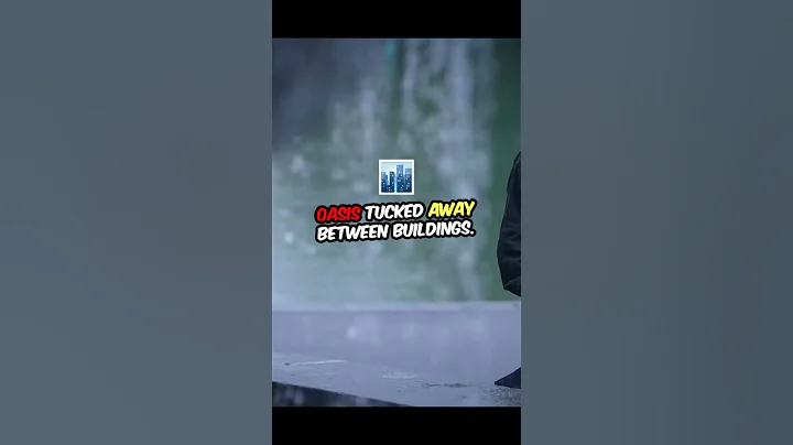 The Hidden Waterfall in NYC?! 😱🌿 You Won’t Believe This!