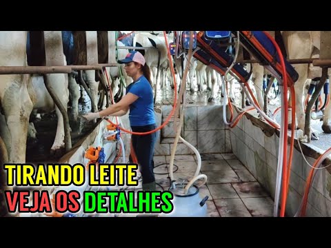 Vídeo: Máquina de ordenha de vaca. Máquinas de ordenha domésticas para vacas: comentários, preços