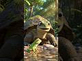 मछली और मेंढक की नई कहानी 🐟🐸 | सच्ची दोस्ती और teamwork | Kids Moral Story #animatedstory