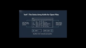 Beheers lsof en fuser in Linux 🚀 Debug geopende bestanden, poorten en bestandsdescriptors