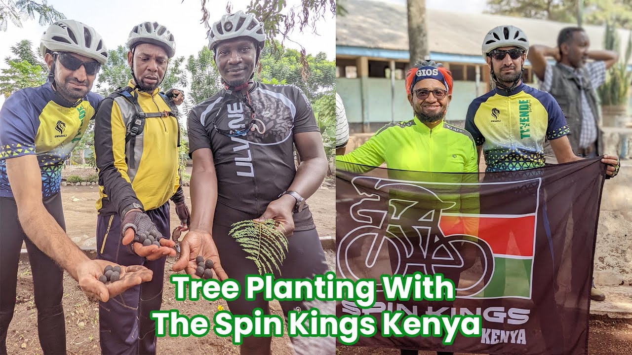 The Spin Kings Tree Plantation with Pedaltz