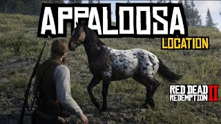 Appaloosa horse location in RDR2
