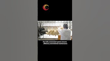 Transform Your Poultry Processing Eruis Equipment – Efficiency Redefined