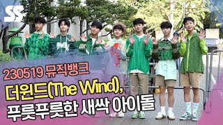 더윈드(The Wind), 푸릇푸릇한 새싹 아이돌 (뮤직뱅크 출근길)