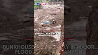 Video: Bunkhouse Swept Away In Major Flood At Grand Canyon