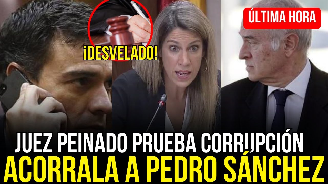 el-juez-peinado-puede-derribar-a-pedro-s-nchez-tras-el-testimonio-del