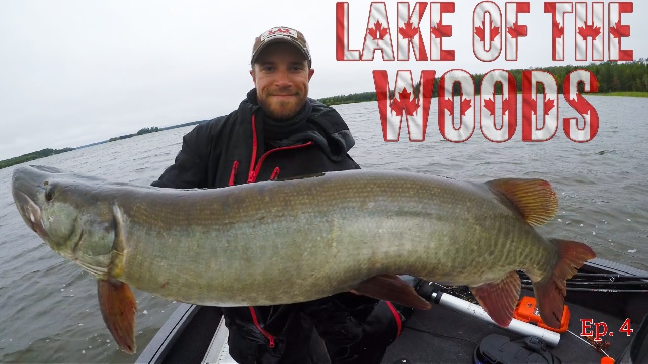 Rain, Wind, and BIG Muskies on Lake of the Woods | Episode 4
