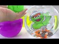 Sink or Float Quiz with Sesame Street Friends