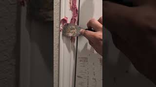 Dog vs Door Jamb Part 2: The Final Reveal! 🛠️💥 #shorts