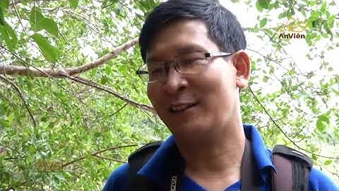 Phùng Mỹ Trung - Về nơi hoang dã