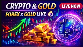 17/06/2026 Live Trading Charts | Crypto, Gold & Forex Analysis Only