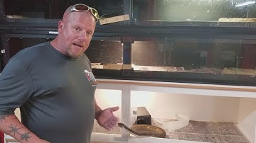 Viewer Request: Proper Hook Training Technique.