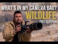 WHAT&#39;S IN MY CAMERA BAG 2020 l  Wildlife Photography Gear