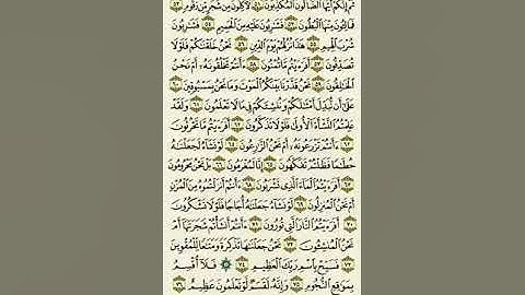 سورة الواقعة من الآية ٥١ إلى الآية ٧٦بصوت القارئ ماهر المعيقلي