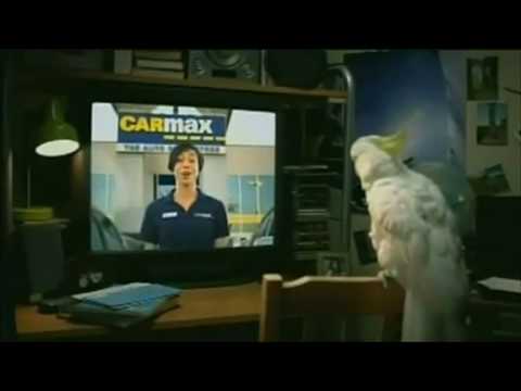 Carmax Dramatic Chipmunk & Cockatoo Super Bowl Commercial 2010 Download GIF: tinyurl.com My MySpace: www.myspace.com