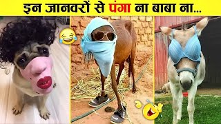 जानवरों के मज़ेदार वीडियो |🤣 Funny Animal video | funny Moments | viral funny video India