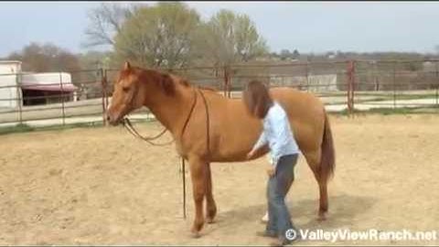 George        ***For info, price, etc., go to our website*** Valley View Ranch