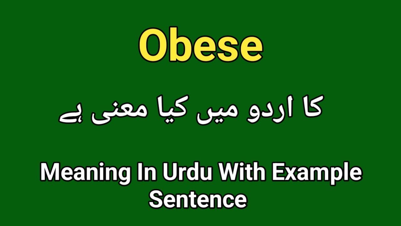Obese Meaning In Urdu Hindi English How To Pronounce Obese obese-meaning-in-urdu-hindi-english-how-to-pronounce-obese