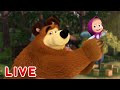 🔴NA ŻYWO 🤪Leśna solidarność 🤪 Masza i Niedźwiedź 🤪 Masha and the Bear - LIVE