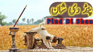 Pind The Shan Punjabi Poetry Old Punjabi Culture Jahan E Rang Cavity Punjabi Nazam Rizwan