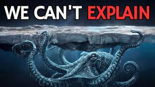 Why Deep-Sea Octopuses Get Smarter the Deeper You Go
