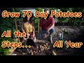 How to Grow 70 Day Potatoes in Containers All Season Long - Planting, Harvesting & More: GC2C Series