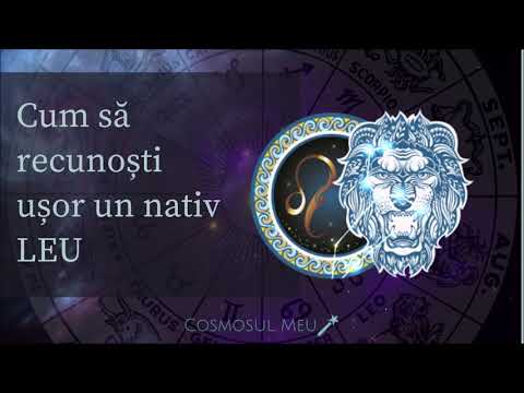 Video: Cum Să Recunoști Un Leu