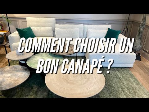 Vidéo: Canapé modulable pour le salon : aperçu, types, fabricants et avis