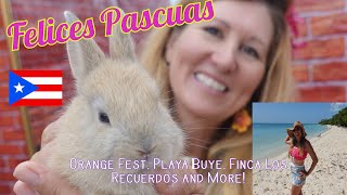 Spring 2024 in Puerto Rico: Playa Buye, Orange Festival and Lares Easter Farm Fun! by LifeTransPlanet 2,660 views 1 month ago 20 minutes