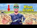 Blue crab catch  cook galveston texas