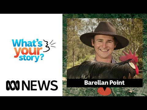 How fifth generation chicken breeder lachie arnett finally won the ultimate crown | abc news