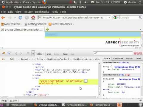 Bypass Client Side JavaScript Validation