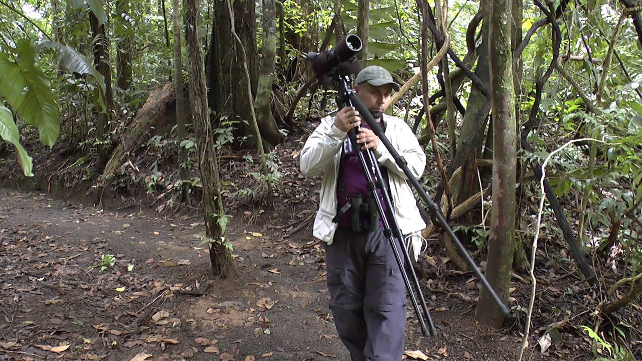 Costa Rica 2015, part two birding at the Arenal observatory lodge