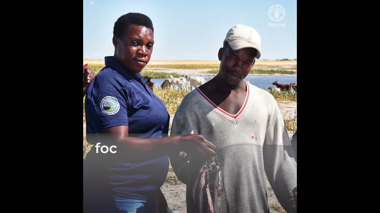 Still from Uplifting Namibia's Small-Scale Fisheries sub-sector