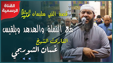 قصة النبي سليمان عليه السلام مع النملة والهدهد وبلقيس | من سورة النمل | الشيخ غسان الشوربجي