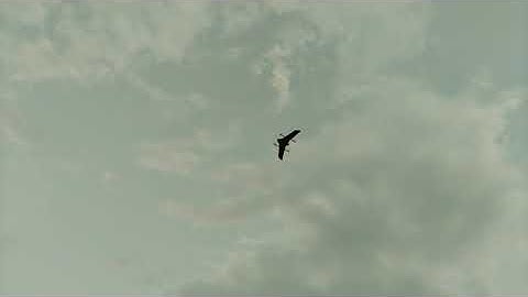 Test Delta Wing VTOL