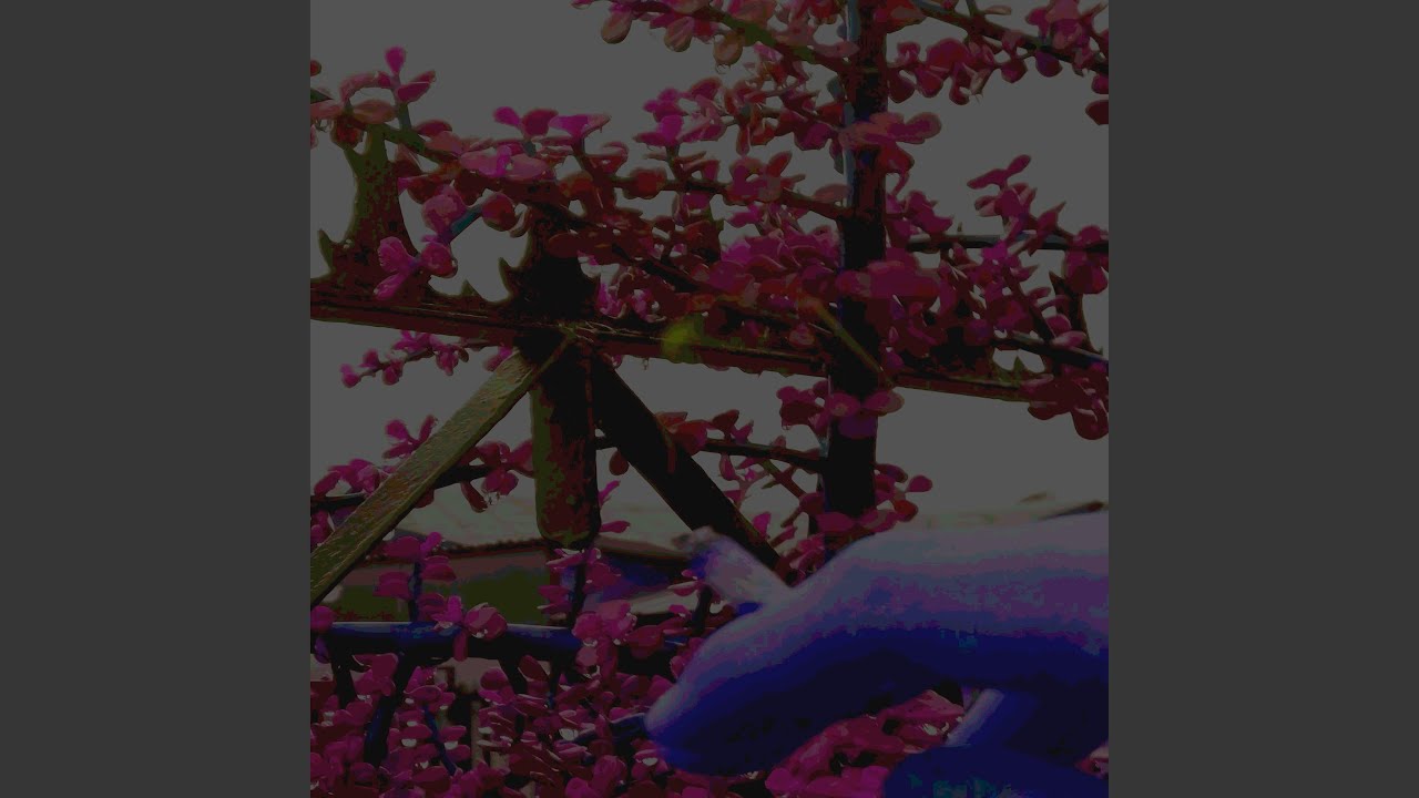 manos heladas y abrigos/gris pavimento (domingo y lunes)