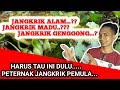 Ternak Jangkrik Jangan Salah Pilih Jenis Jangkrik