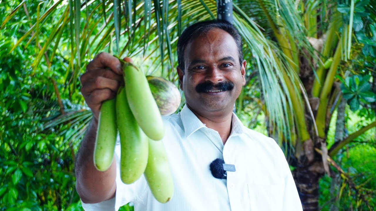 വഴുതനങ്ങ വാങ്ങുമ്പോൾ ഇങ്ങനെയൊന്നുണ്ടാക്കി നോക്കു 😋👌| Vazhuthananga Recipe | Keralastyle