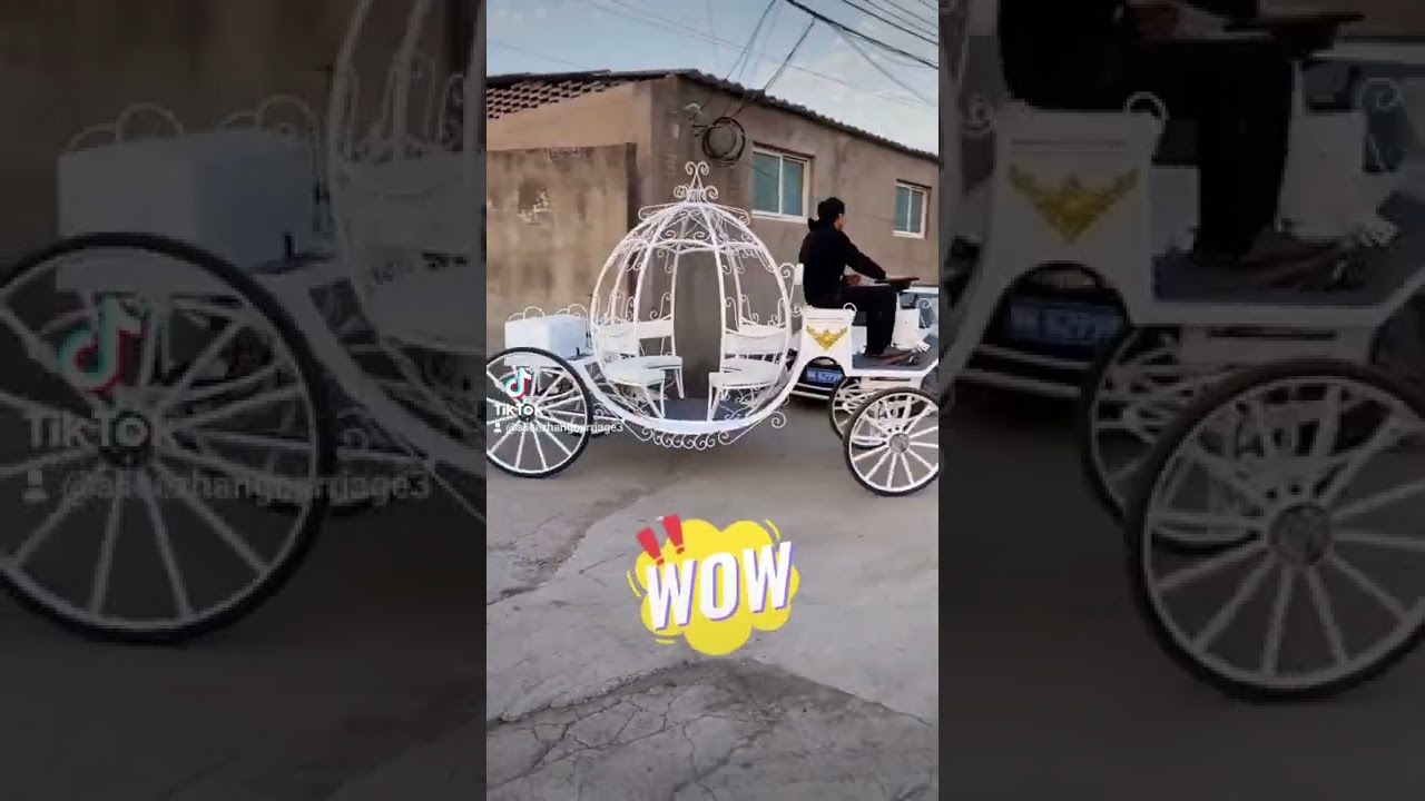 cinderella electric horse carriage