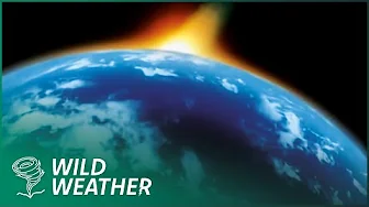 The Doomsday Comet: 75% of Life Extinguished