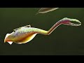 What Was The Tully Monster?