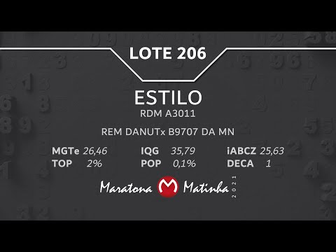 LOTE 206 Maratona Matinha