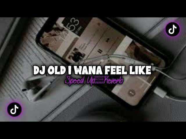 DJ OLD I WANA FEEL LIKE STYLE DJ TRABAS (Speed Up & Reverb) class=