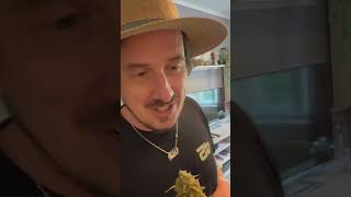 Homegrown Visits With Sasha And His Z-Up Travel Vlog Fast Buds