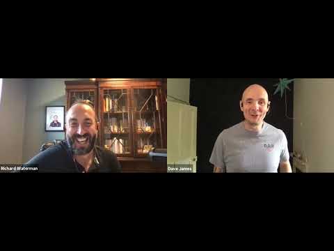 Ikigai — Finding Your Purpose and Authentic Voice