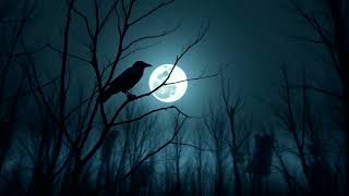 Bizzart - Crna Vrana