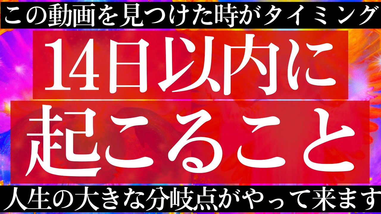 驚愕の占い結果が出てしまいました🫢見た時から14日以内に起こること🌈🍀【タロットルノルマンオラクルカードで細密深掘りリーディング💫】